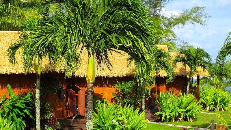 Majic Reef Bungalows setting